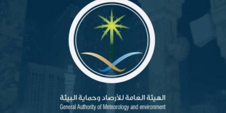 حالة الطقس.. أمطار رعدية مصحوبة بزخات من البرد ورياح نشطة على عدة مناطق