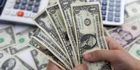 الدولار يتراجع بنحو 5% مقابل الجنيه خلال أغسطس مقارنة ببداية 2025