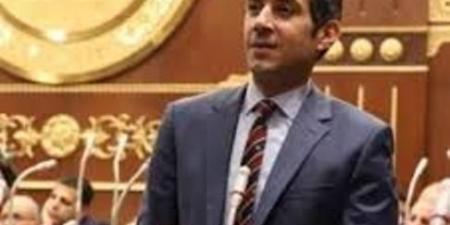 برلماني: موافقة حماس على وقف إطلاق النار انتصار للدور المصري