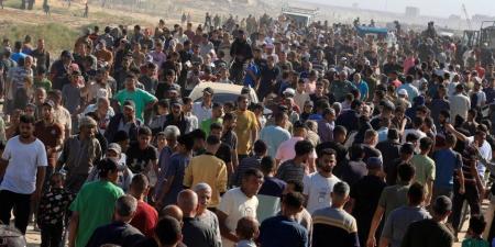 مستشار بالأكاديمية العسكرية: القاهرة والدوحة وحدتا الموقف الفلسطيني