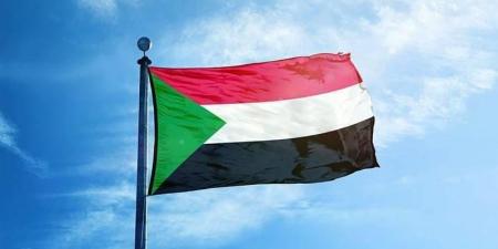 دول عدة بينها الإمارات تدعو إلى «هدنات إنسانية» في السودان
