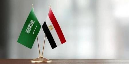 5.9 مليار دولار قيمة التبادل التجاري بين مصر والسعودية بالنصف الأول 2025