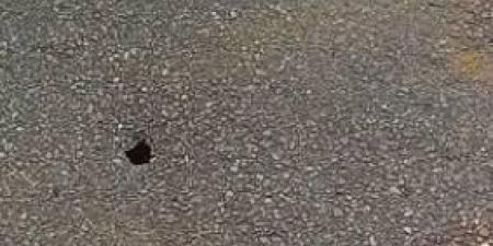 حفرة بحجم 10 بنسات تغلق طريقاً أسبوعاً