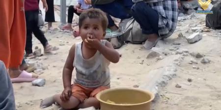 الأمم المتحدة: غزة تحت المجاعة