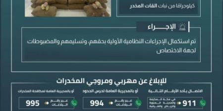 القبض على 10 مخالفين بعسير لتهريبهم 180 كلجم من نبات القات