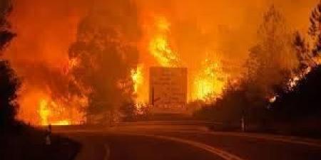 مصرع عنصر إطفاء في حرائق الغابات في البرتغال