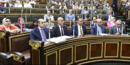 160 مليار جنيه لدعم السلع التموينية بموازنة 26/25.. قفزة لحماية ملايين الأسر