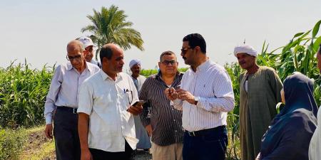 وكيل وزارةالزراعة بسوهاج يتفقد زراعات دوارالشمس والطماطم بكوم بدر