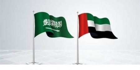 مغامرون خليجيون يرفعون علمي الإمارات والسعودية على أعلى قمة في أوروبا