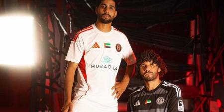 الننى : الجزيرة سيفوز بلقب الدورى الإماراتى