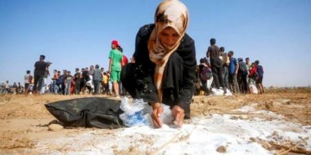 الأونروا: على “إسرائيل” التوقف عن إنكار المجاعة التي تسببت بها في غزة