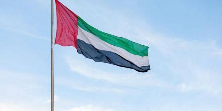 الإمارات تجهز السفينة الـ9 دعماً لغزة بحمولة 7,000 طن