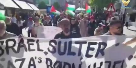 مسيرات تضامنية في دول غربية بمناسبة اليوم العالمي لإعلان مساندة غزة