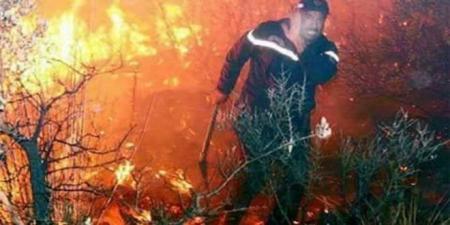 الحماية المدنية: اعتماد الذكاء الاصطناعي لتحديد مواقع الحوادث والتدخل..
