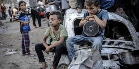 الخارجية الفلسطينية تطالب بإجراءات دولية ملزمة لوقف جرائم الإبادة في غزة
