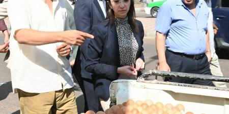 محافظ البحيرة تتفقد ١٢ سيارة محملة ب١٠٠٠ طبق بيض مائدة  