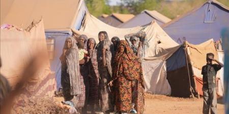 لجنة سودانية: "الدعم السريع" تختطف 8 نازحات بالفاشر