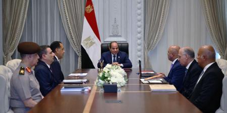 الرئيس السيسي يستعرض فرص التوسع في المناطق الصناعية