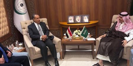 لقاء بين وزيري خارجية مصر والسعودية على هامش اجتماع منظمة التعاون الإسلامي