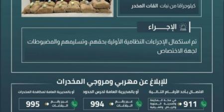 حرس الحدود بجازان يقبض على 10 مخالفين لنظام أمن الحدود لتهريبهم 260 كلجم من نبات القات المخدر