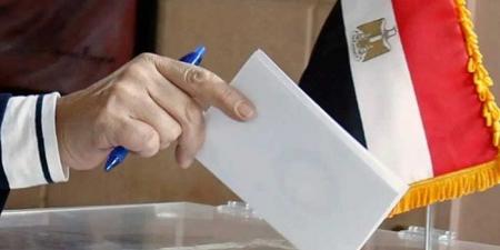 الوطنية للانتخابات: جولة الإعادة بـ "الشيوخ" في الخارج تسير بشكل منتظم