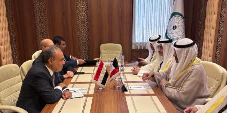 وزيرا خارجية مصر والكويت يبحثان سبل تعزيز العلاقات الثنائية والتطورات الإقليمية