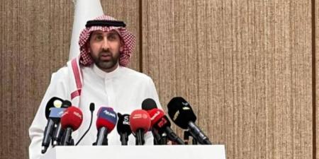 دهلوي: نراعي التوازن بين جمالية المدرج والسلامة لقبول أو رفض «التيفو»