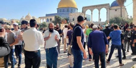 المستوطنون يؤدون طقوسًا تلمودية في المسجد الأقصى وينفخون بـ “الشوفار”