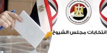 بدء التصويت بسفارات مصر بأمريكا وكندا في الإعادة بانتخابات مجلس الشيوخ