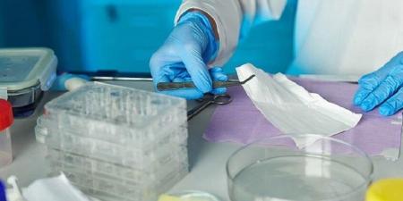 ابتكار تقنية متقدمة للضمادات تعزز الشفاء في حالات الطوارئ