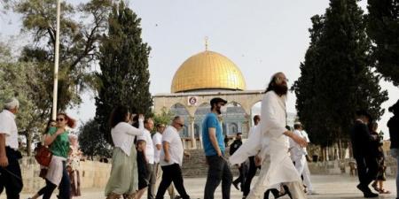 "شؤون القدس": اقتحامات الأقصى تصعيد خطير يفتح الباب أمام انفجار ديني وسياسي