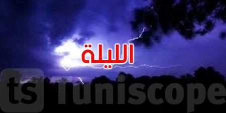 الليلة: تواصل نشاط الخلايا الرعدية بالمناطق الغربية ثم طقس قليل السحب