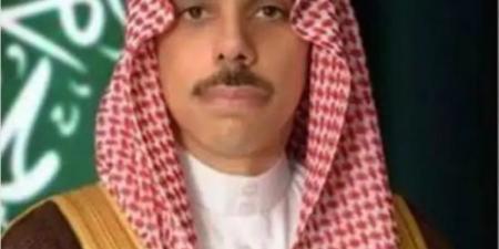 وزير الخارجية يصل إلى ألمانيا في زيارة رسمية