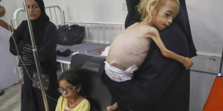 مسؤولة أوروبية: الاتحاد الأوروبي يقف عند مفترق طرق حاسم بشأن غزة