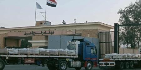 عبور 10 شاحنات مساعدات إماراتية عبر معبر رفح متجهة إلى قطاع غزة