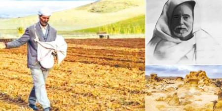تونس الأعماق ... سطح القمر بالصمار (تطاوين) .. وجهة لحياة الصخور والطبيعة الخلابة