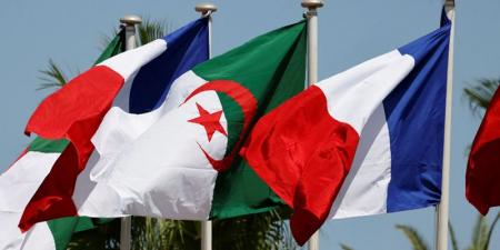 فرنسا تعلن تقليص عدد طلبات التأشيرة بسفارتها في الجزائر