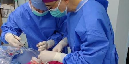 أول زراعة ناجحة لرئة خنزير في صدر إنسان "لـ9 أيام"