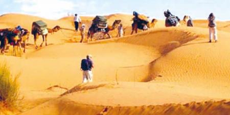 توزر: الدّورة الثّانية للصّالون الدّولي للسّياحة الصّحراوية والواحية في ديسمبر