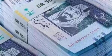 استقرار سعر الريال السعودي اليوم بالبنك الأهلي أمام الجنيه