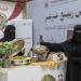 ختام موسم ربيع عرعر
