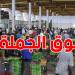 بئر القصعة: ارتفاع ملحوظ في أسعار الغلال والأسماك خلال أفريل