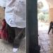 لأول مرة.. مستوطنون يُدخلون قربانا حيوانيا لباحات المسجد الأقصى