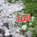 القصرين: البَرَد يلحق أضرارا متفاوتة بالزراعات الكبرى والزياتين والأشجار المثمرة