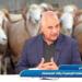 لطفي الرياحي: أسعار الأضاحي مشطّة والوزارة مطالبة بتحديد أسعار بيع اللحوم بالتفصيل