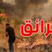 منوبة: إنقاذ محاصيل القمح والشعير من كارثة حقيقية بعد سيطرة فرق الإطفاء على حريقين