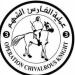 الإمارات تنفذ الإنزال الجوي الـ 72 للمساعدات فوق غزة