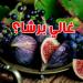 علاش سوم ''الكرموس والعنب'' ارتفع العام هذا؟