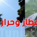 أمطار رعدية وتساقط برد في تونس يوم السبت: هذه المناطق معنية