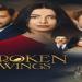 مسلسل طيور بلا اجنحة الحلقة 8
